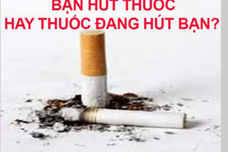 <a href="/trang-tin-hoc-sinh" title="Trang tin Học sinh" rel="dofollow">Trang tin Học sinh</a>